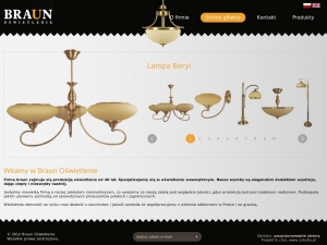 http://www.braunoswietlenie.com.pl/